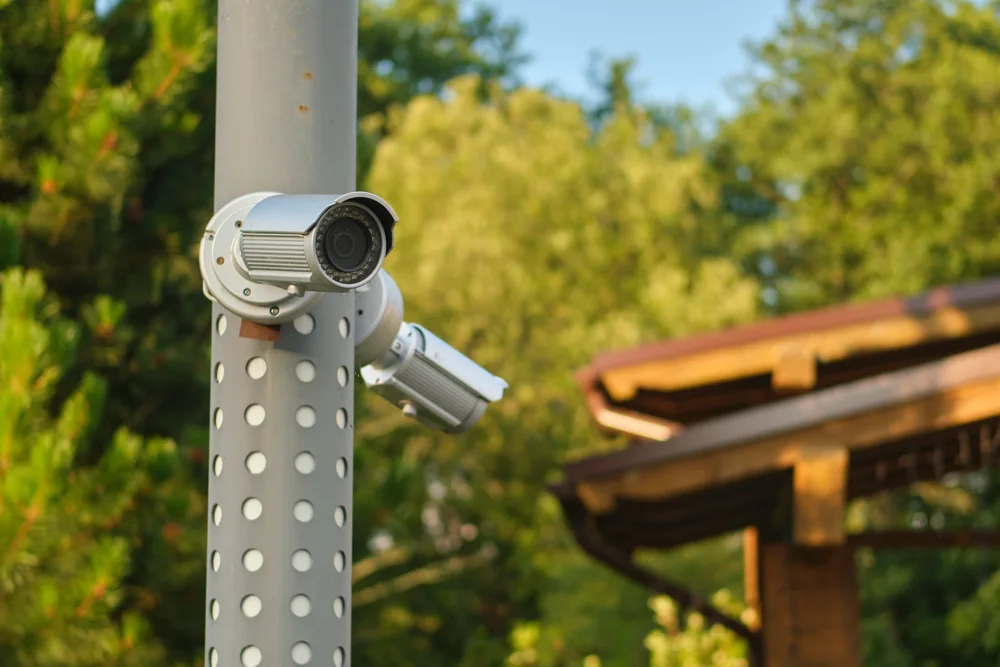 students moving to campus